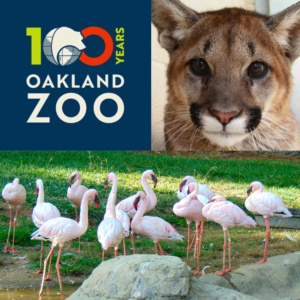 Oakland Zoo