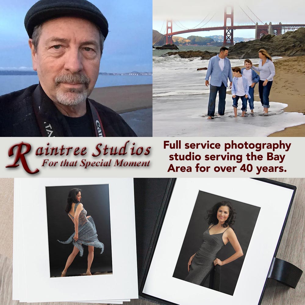 A Modern Woman's Portrait Experience – Raintree Studios