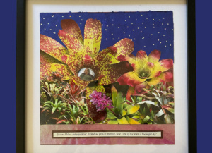 susan oppie web
